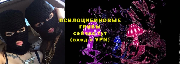 Альфа ПВП Лабытнанги