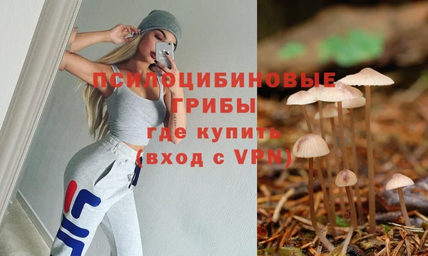 Альфа ПВП Лабытнанги