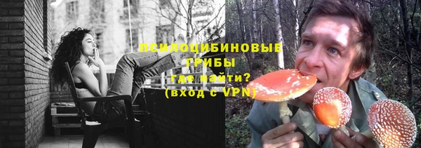 Альфа ПВП Лабытнанги
