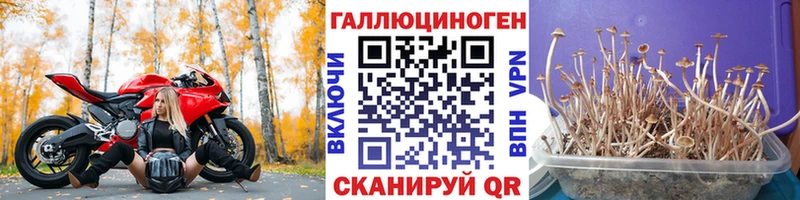 Галлюциногенные грибы Magic Shrooms  Купить закладки  Яранск 